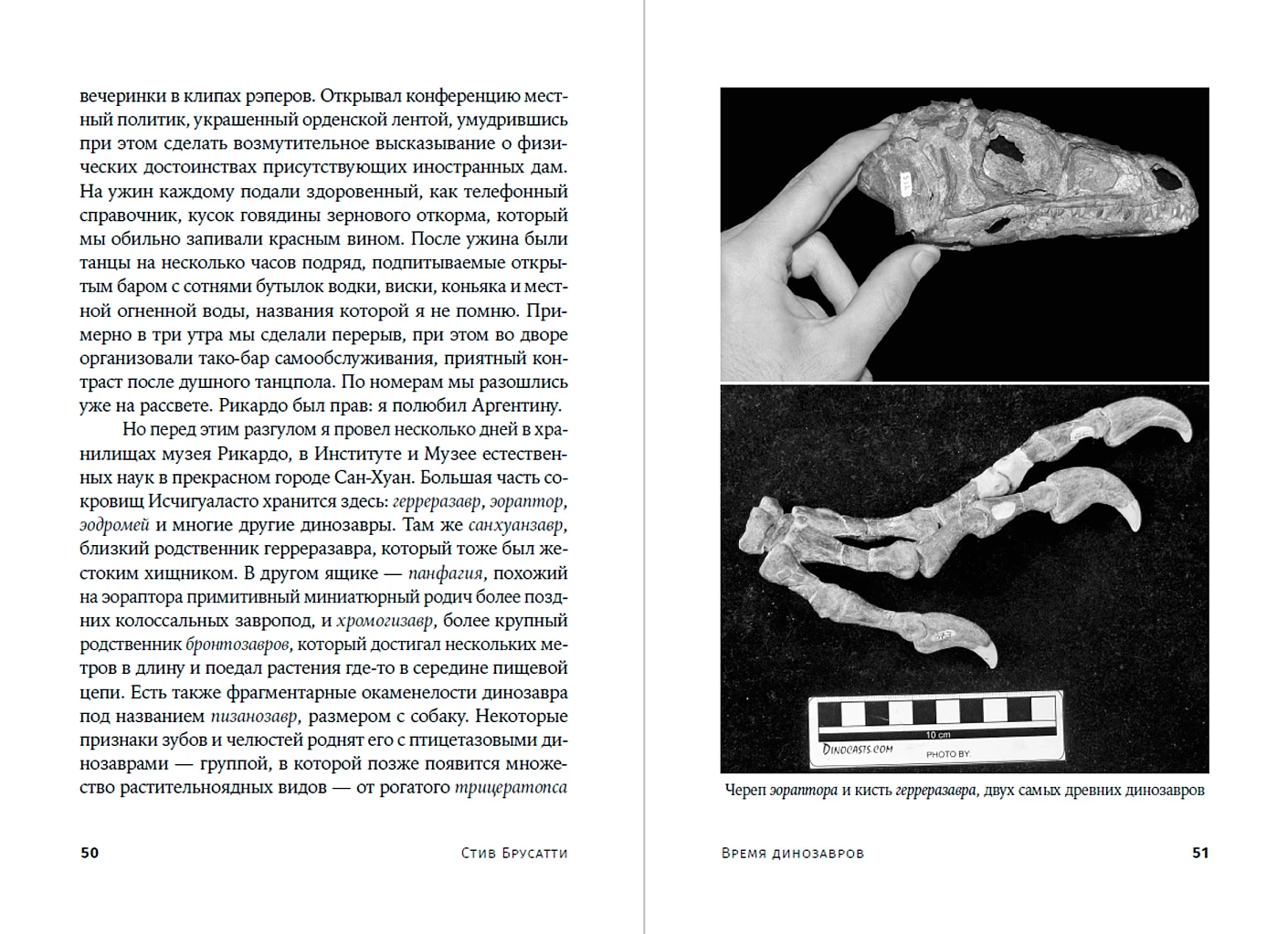 Время динозавров. Новая история древних ящеров фото книги маленькое 6