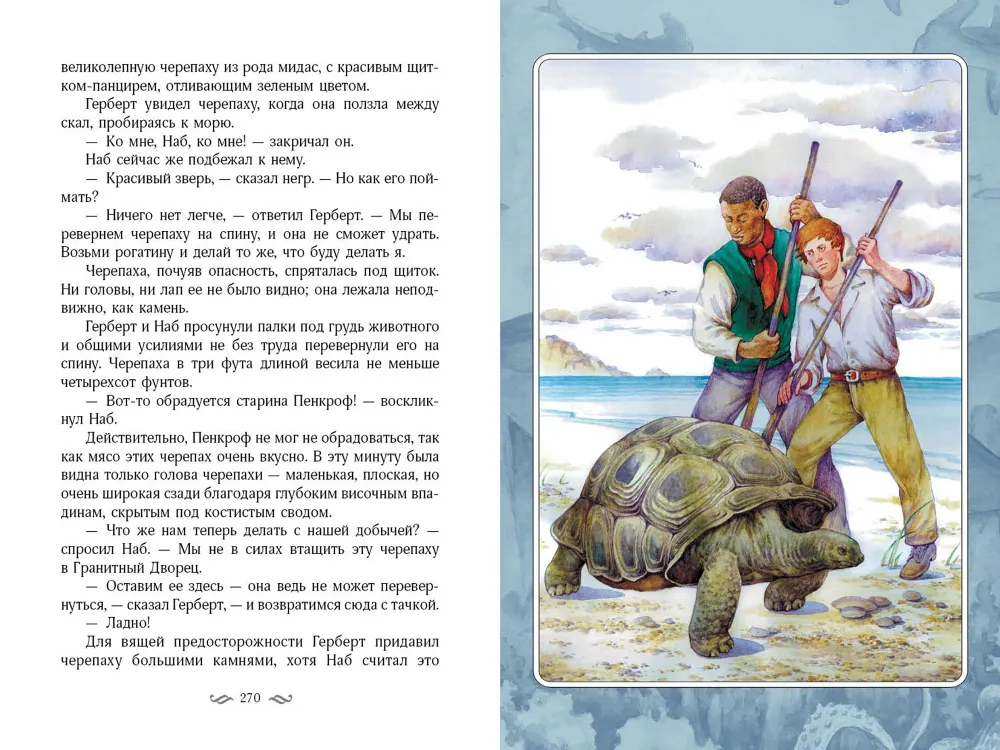 Таинственный остров фото книги маленькое 10