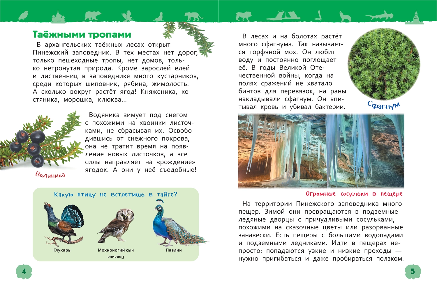 Чудеса родной природы. Энциклопедия для детского сада фото книги маленькое 3