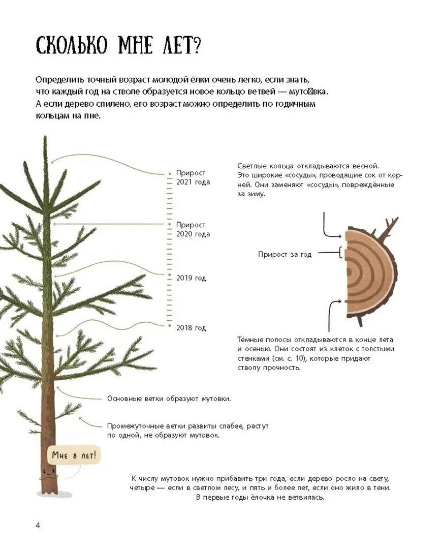 Елка и ее родственники фото книги маленькое 3