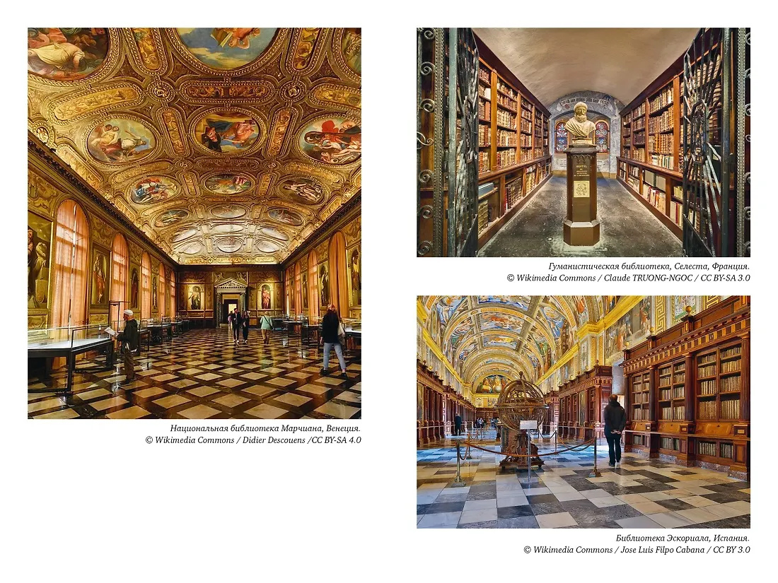 История библиотек: Коллекционеры. Тексты. Здания фото книги маленькое 4