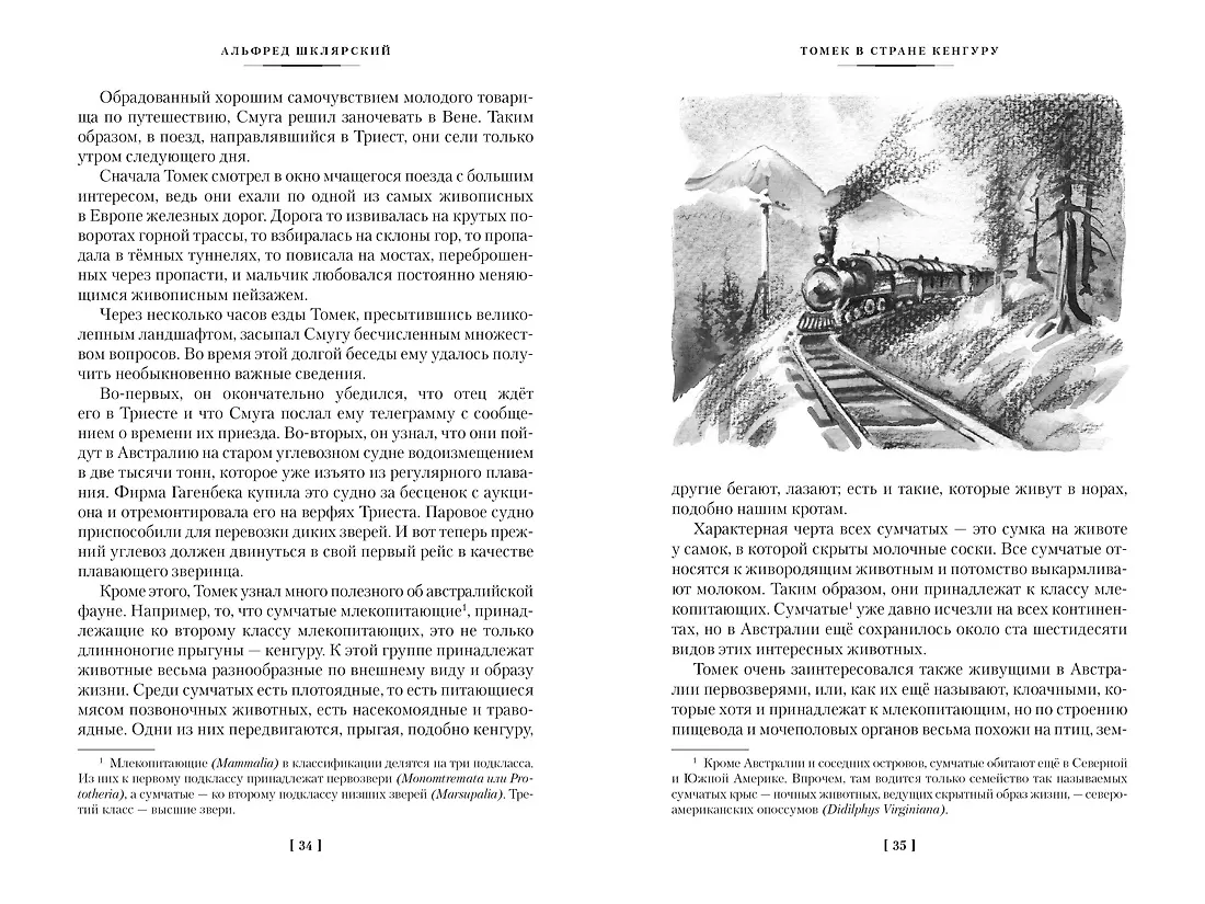 Томек в стране кенгуру и другие удивительные приключения фото книги маленькое 6