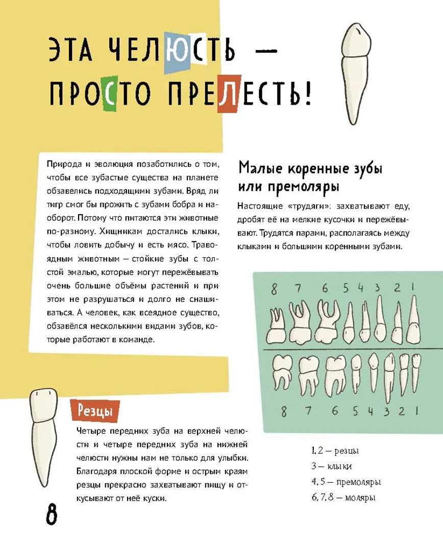 Зубастая энциклопедия фото книги маленькое 3