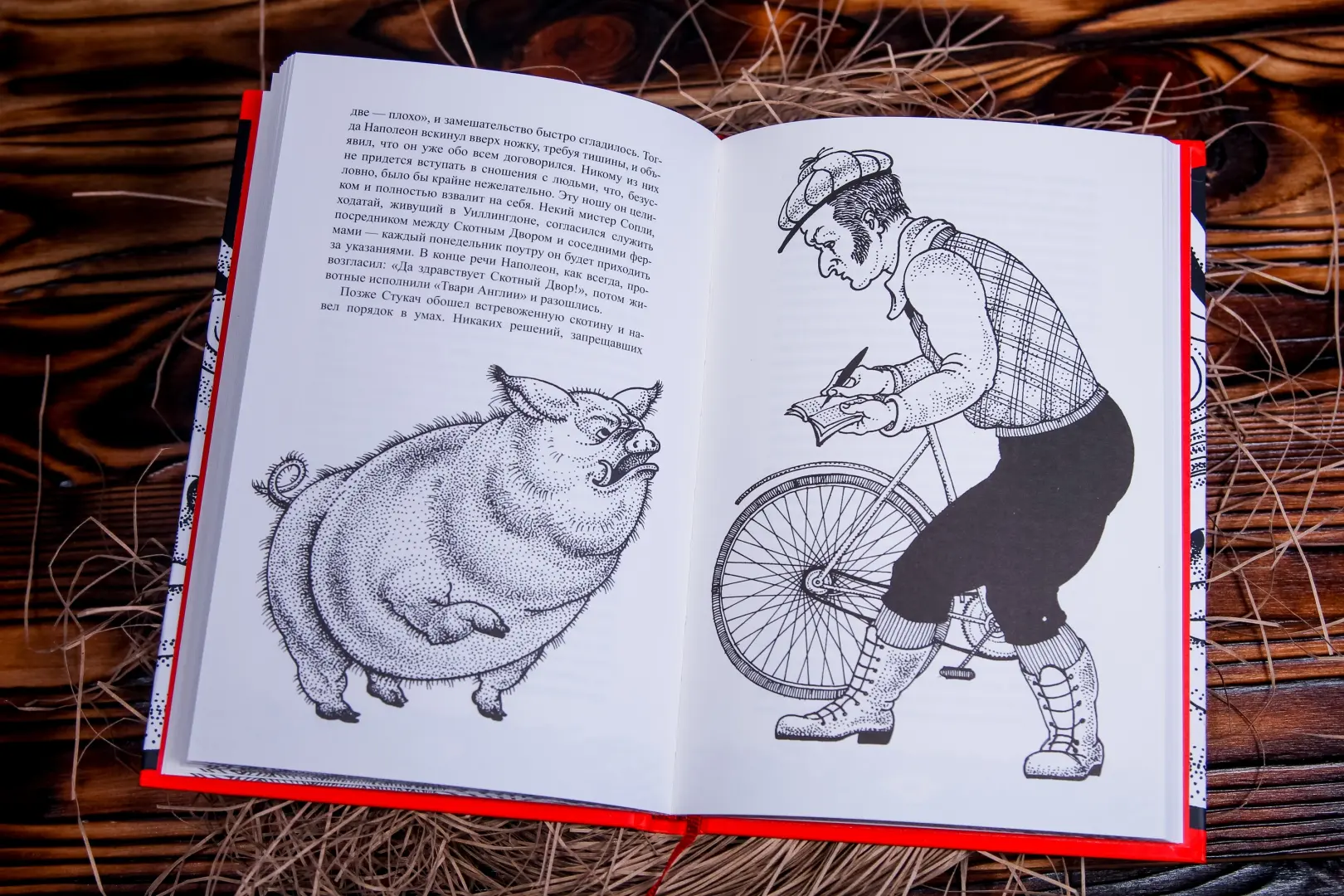 Скотный двор фото книги маленькое 8