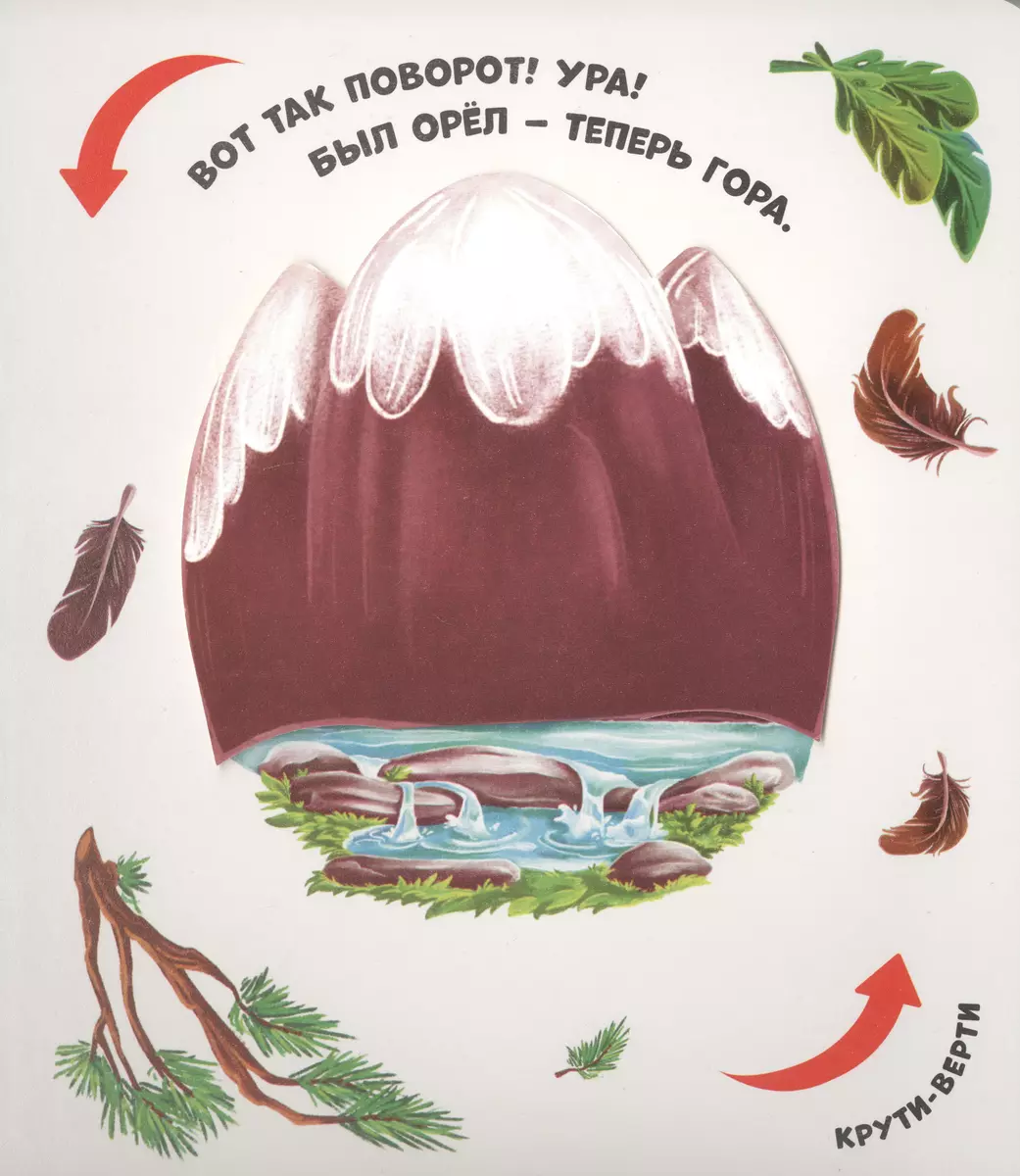 Чудесные превращения. Превращения в природе фото книги маленькое 4