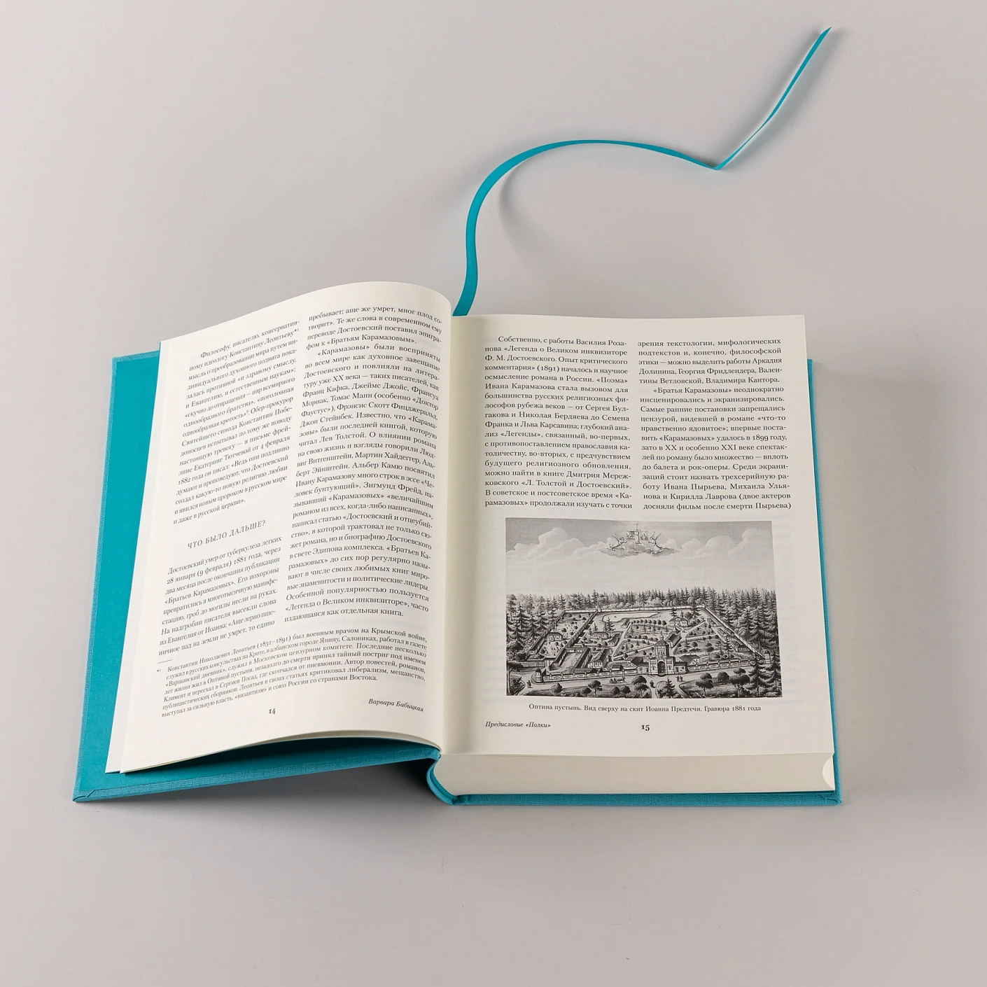 Братья Карамазовы фото книги маленькое 7