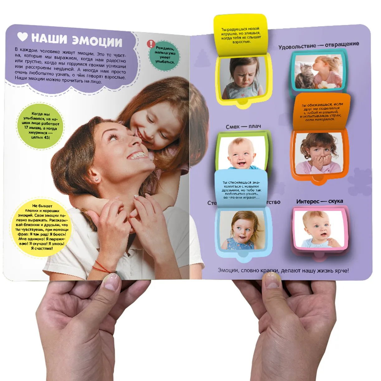 Мое тело. Энциклопедия с окошками фото книги маленькое 3