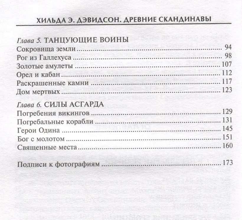 Древние скандинавы. Сыны северных богов фото книги маленькое 7