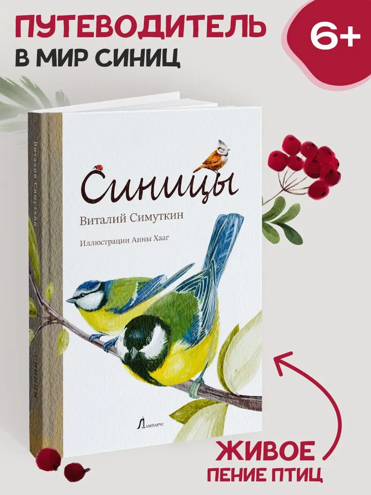 Синицы фото книги маленькое 3