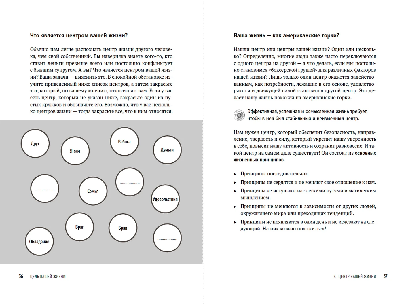 Цель вашей жизни. Как обрести мечту и не сбиться с пути фото книги маленькое 4