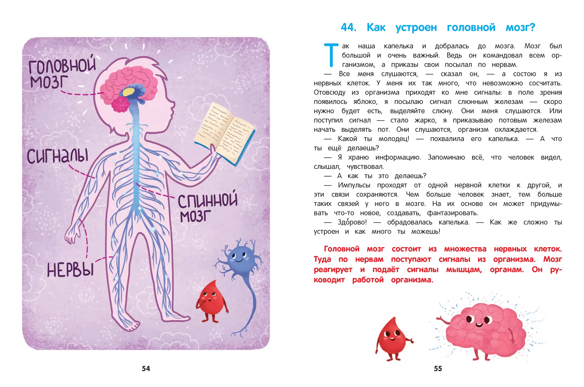 Как устроен человек. Энциклопедия для малышей в сказках фото книги маленькое 6