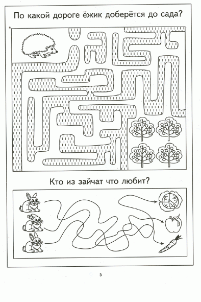 Пройди лабиринты. Задания на зрительное восприятие и мелкую моторику рук. Для детей 4-5 лет фото книги маленькое 4