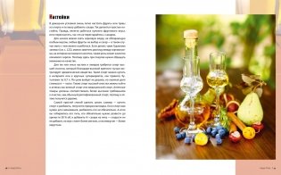 Домашний алкоголь. Способы приготовления, оборудование, рецепты фото книги 6