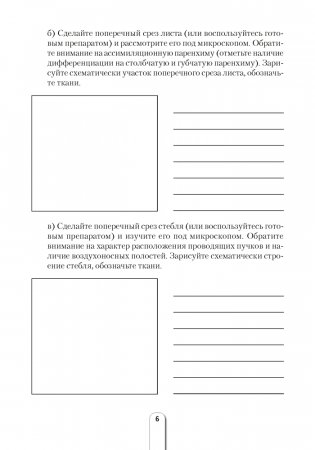 Тетрадь для лабораторных и практических работ по биологии для 11 класса. Повышенный уровень фото книги 5