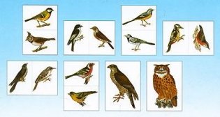 Мир в картинках. Птицы средней полосы. Наглядно-дидактическое пособие. ФГОС фото книги 3