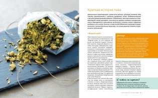 Домашнее пиво: Основные техники приготовления, розлива и хранения фото книги 3