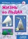 Жизнь во льдах фото книги маленькое 2