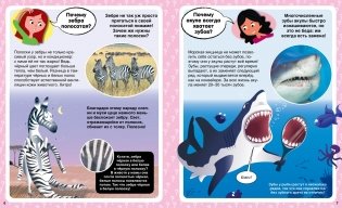 Почему? 100 вопросов и ответов в картинках фото книги 2