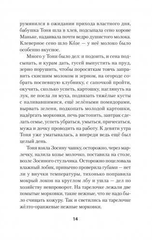 Индейцы и школьники (Питер покет) фото книги 8