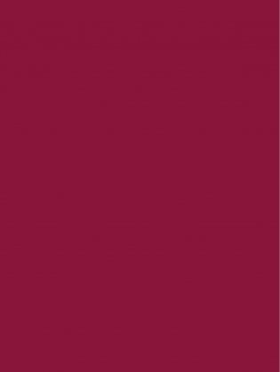 Про Федота-стрельца, удалого молодца. Издание с иллюстрациями фото книги 4