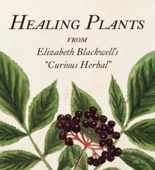 Healing Plants: From Elizabeth Blackwell's Curious Herbal (Tiny Folio) фото книги