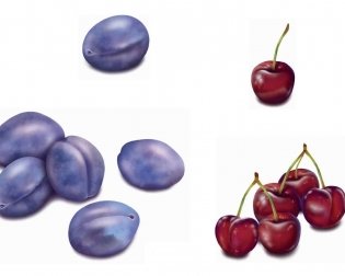 Родная мова. Вучэбны наглядны дапаможнік. ГРЫФ фото книги 7