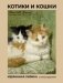 Котики и кошки. Избранная лирика с иллюстрациями фото книги маленькое 2