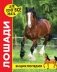 Энциклопедия. Лошади фото книги маленькое 2
