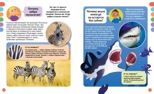 Почему? Вопросы и ответы обо всём на свете фото книги 3