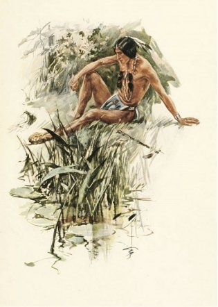 Песня о Гайавате. Желание их сердец фото книги 6