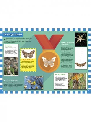 Бабочки. Детская энциклопедия фото книги 8