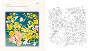 Летним днём в Корее. Раскраски-антистресс, которые подарят тёплые чувства фото книги 7
