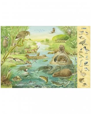 Найди и покажи. 1000 животных фото книги 14