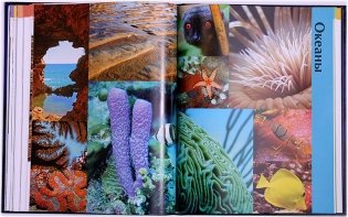 Иллюстрированный атлас Земля фото книги 7