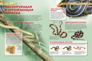 Змеи. Детская энциклопедия фото книги 3