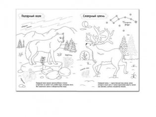 Раскрась Россию. Арктика фото книги 4