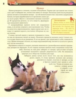 Энциклопедия. Собаки фото книги 2