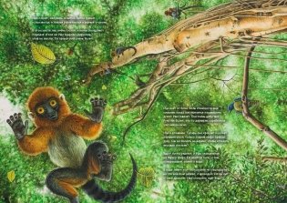 Ида. Взгляд из прошлого фото книги 2