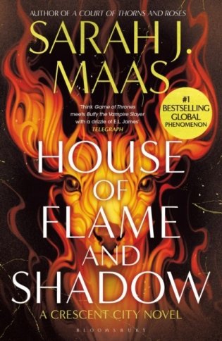 House of Flame and Shadow фото книги