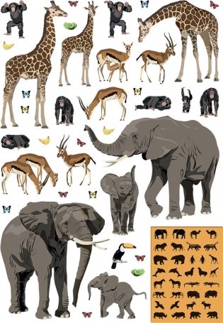 Моя книга животных фото книги 6