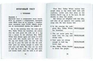 Рассказы мамы-кошки. Домашнее чтение с заданиями по новому ФГОС (+ CD-ROM) фото книги 5