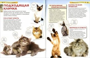 Кошки и котята фото книги 3
