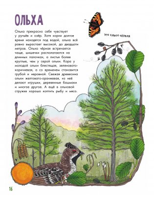 Деревья фото книги 7