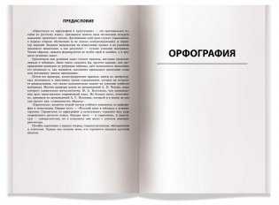 Практикум по русскому языку. Орфография и пунктуация фото книги 3