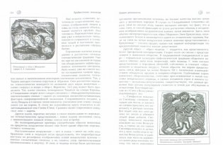 Предвестники викингов. Северная Европа в I-VIII веках фото книги 2