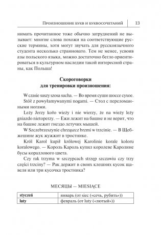 Польский язык. Новый самоучитель фото книги 12