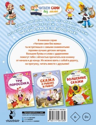 Вовка в Тридевятом царстве фото книги 5