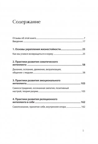 Жизнестойкость. Выжить после разочарований и катастроф фото книги 2