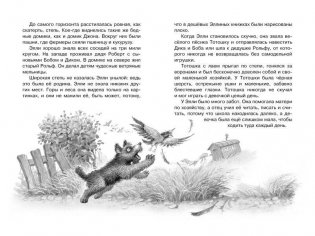 Волшебник Изумрудного города фото книги 4