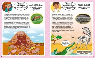 Сколько? 100 вопросов и ответов в картинках фото книги 3